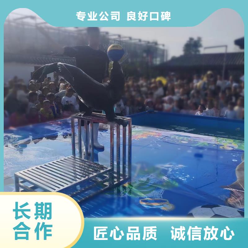 海洋主题动物表演,动物表演出租实力公司