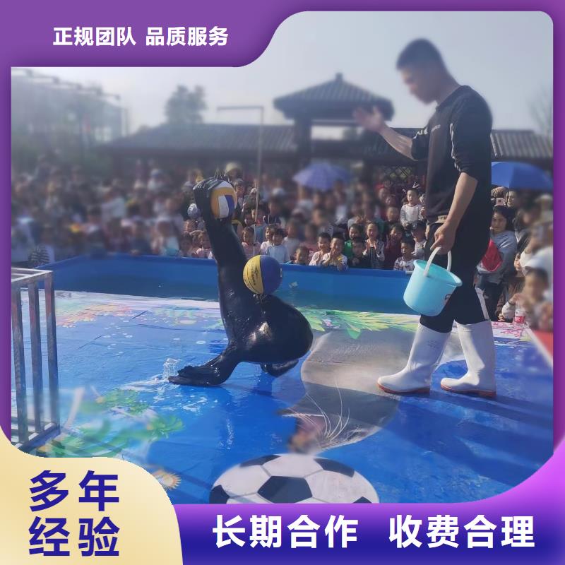 海洋主題動(dòng)物表演死輪表演服務(wù)熱情