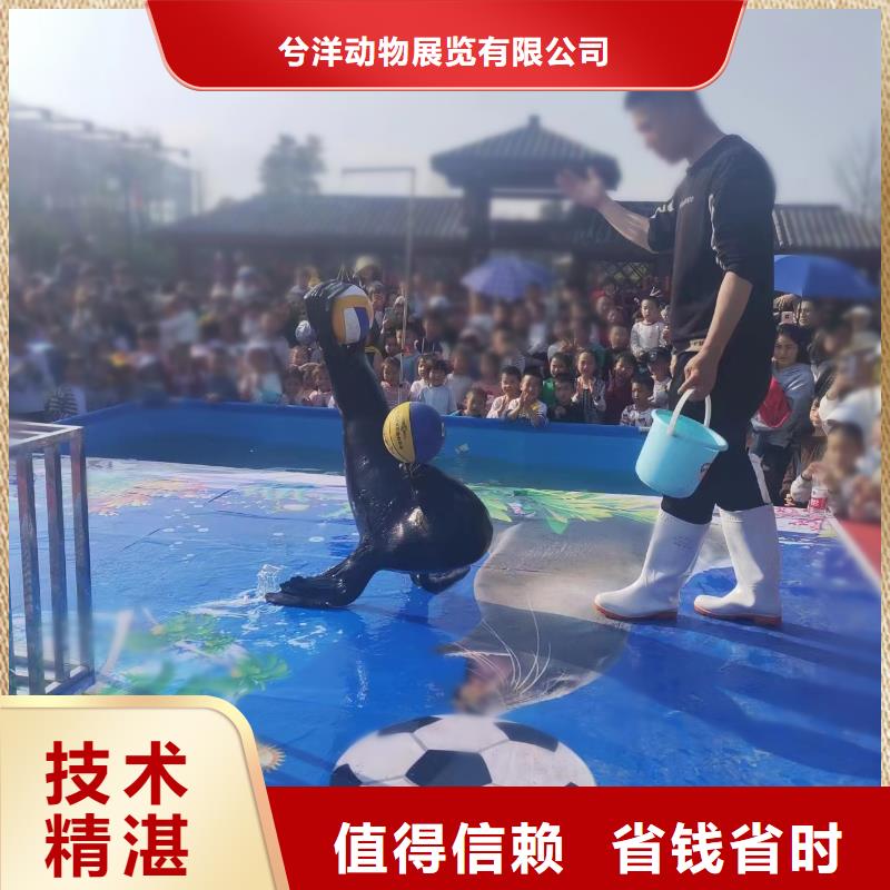 【海洋主題動(dòng)物表演】,商場(chǎng)馬戲表演出租2025專業(yè)的團(tuán)隊(duì)