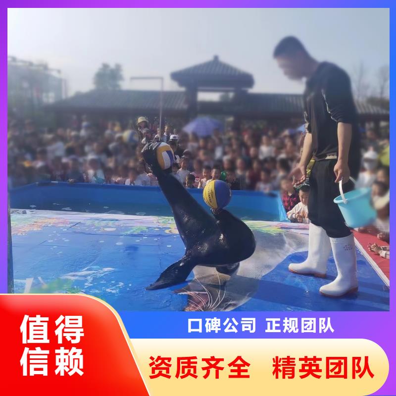 海洋主题动物表演美人鱼表演收费合理