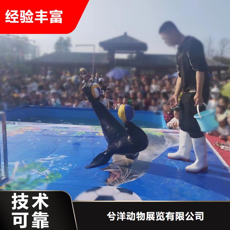 海洋主題動(dòng)物表演【房地產(chǎn)開盤慶典】質(zhì)量保證