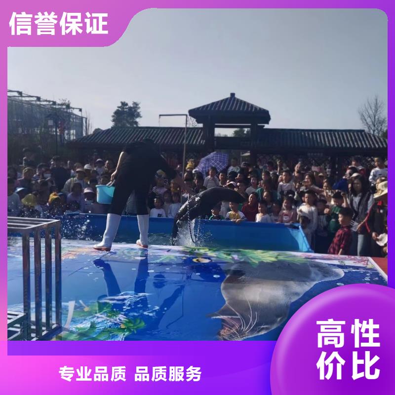 海洋主題動(dòng)物表演【企鵝演出】誠信放心