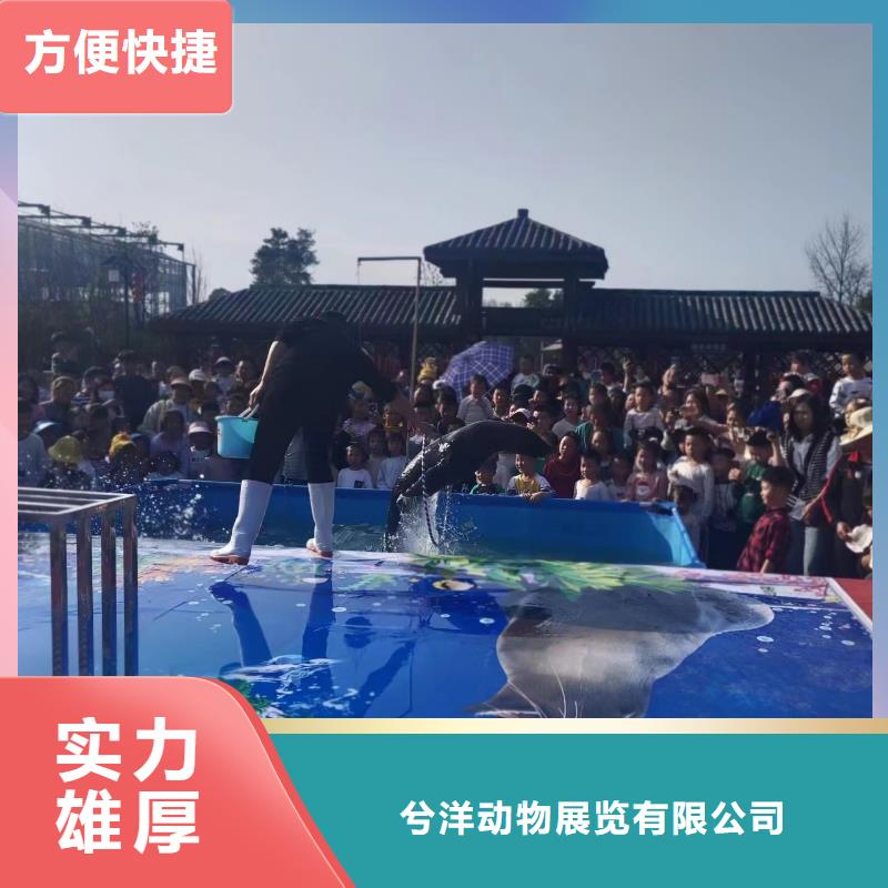 海洋主題動物表演_美人魚表演齊全