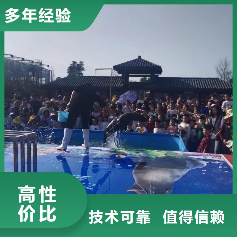 海洋主題動(dòng)物表演 小香豬寵物出租長(zhǎng)期合作
