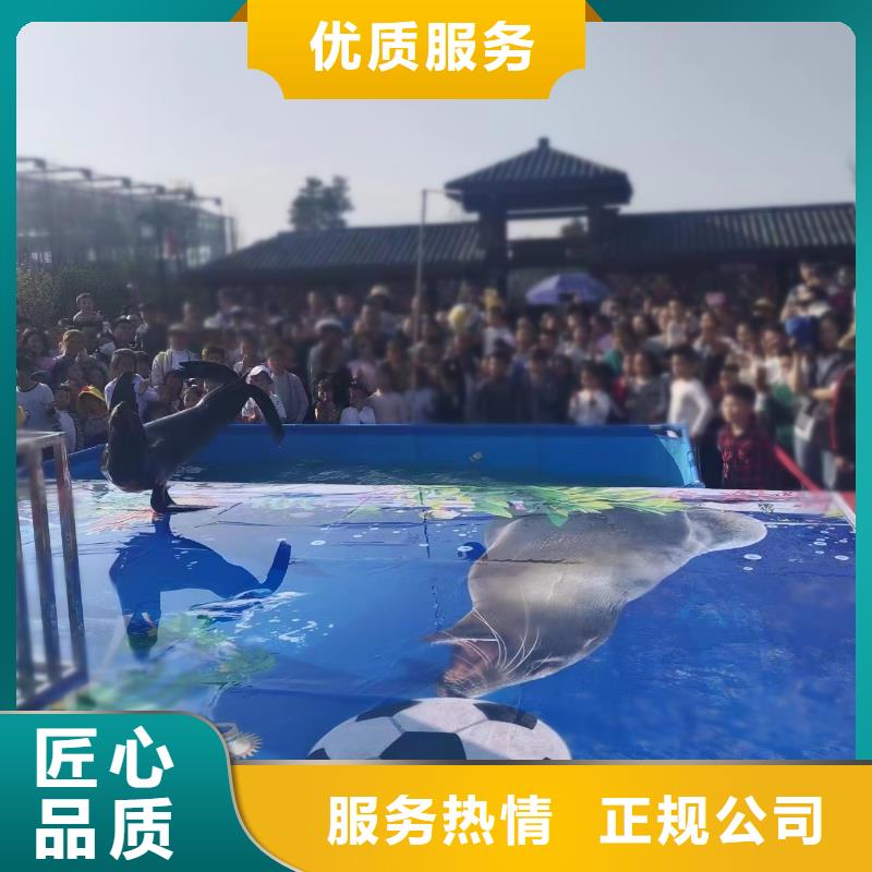 海洋主題動(dòng)物表演,海獅表演出租質(zhì)優(yōu)價(jià)廉