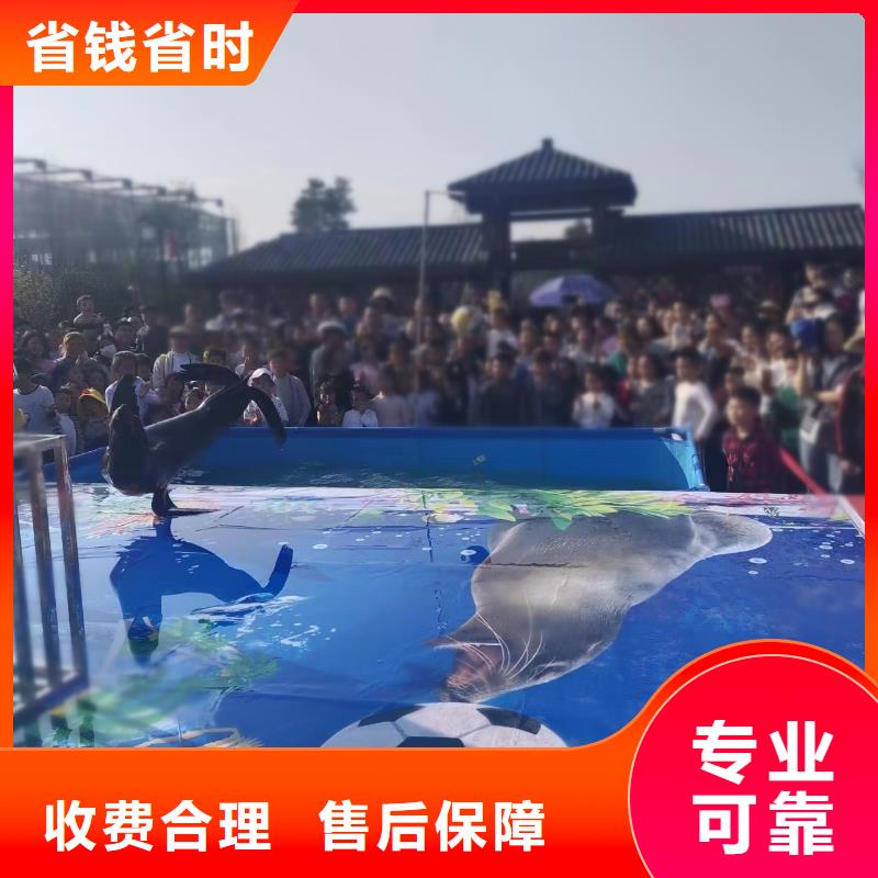 【海洋主題動(dòng)物表演】海洋展租賃實(shí)力強(qiáng)有保證