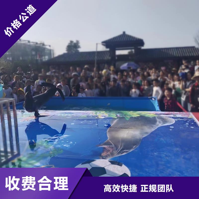 海洋主題動物表演-【美人魚表演】放心