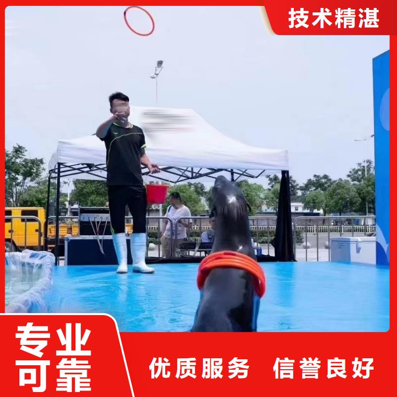 【海洋主題動(dòng)物表演 海洋展租賃專業(yè)服務(wù)】