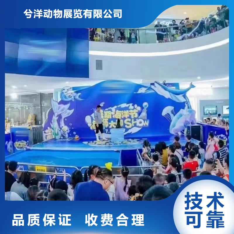 海洋主題動(dòng)物表演出租海獅表演一站搞定