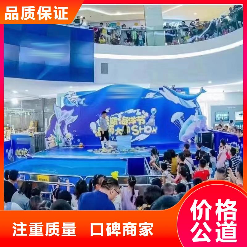 【海洋主題動(dòng)物表演】美人魚表演口碑公司