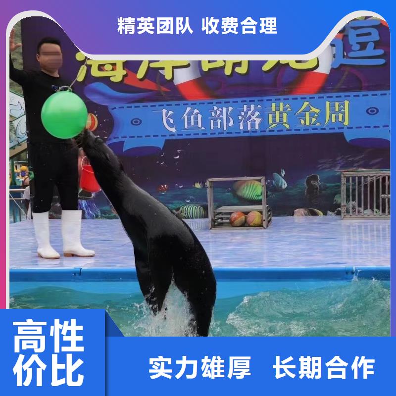 海洋主题动物表演-表演动物出租注重质量