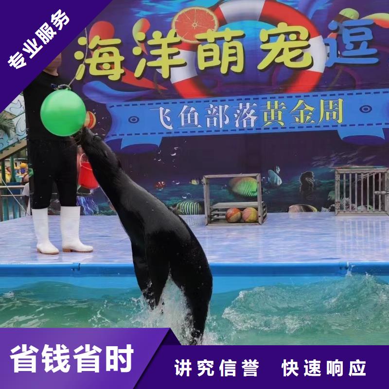 海洋主題動(dòng)物表演-羊駝出租拒絕虛高價(jià)