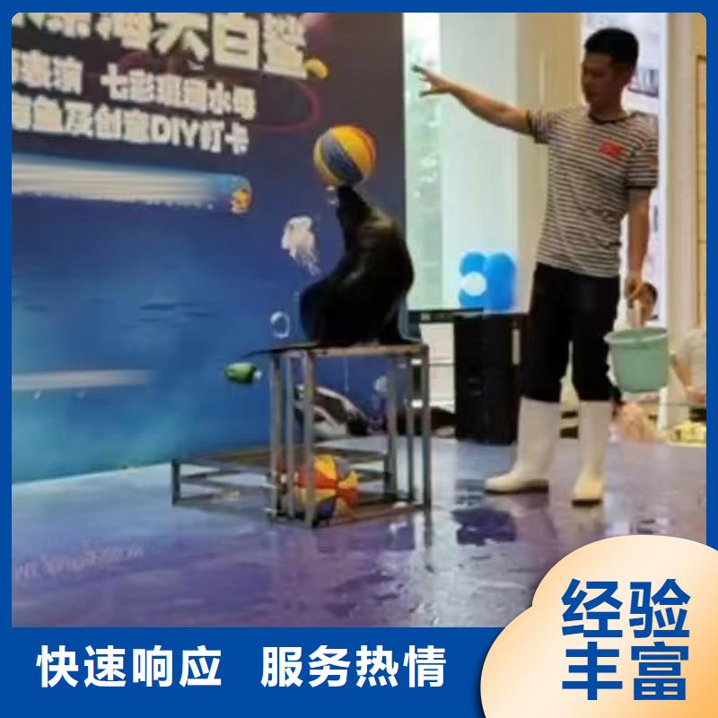 海洋主题动物表演_羊驼出租服务周到