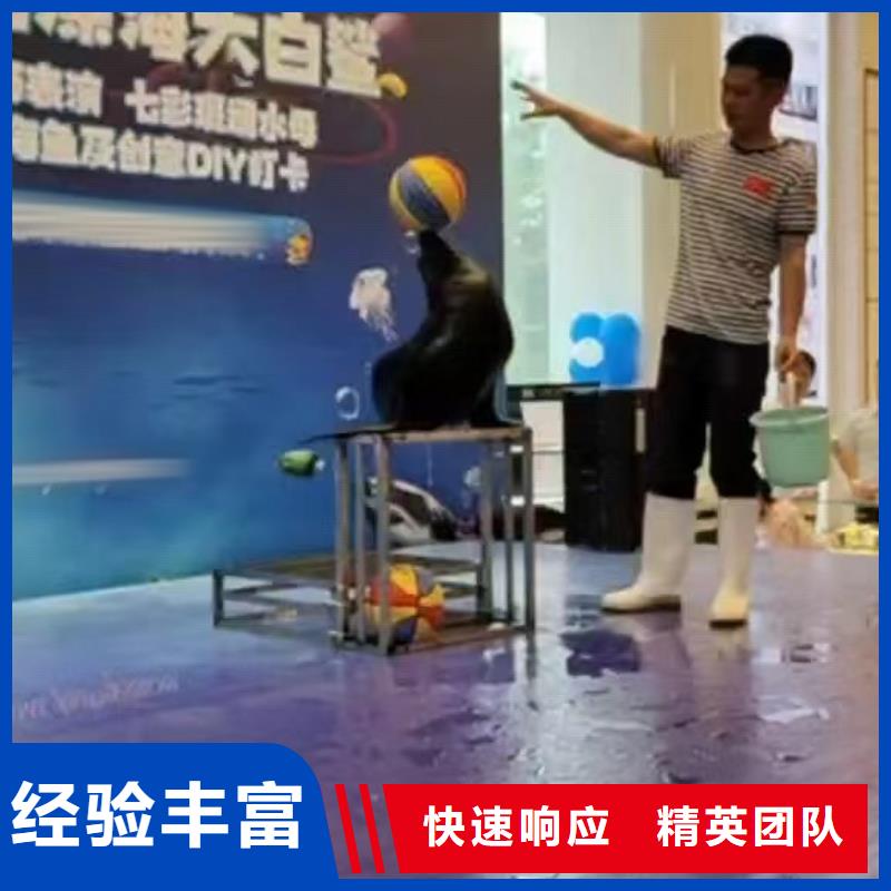 海洋主題動(dòng)物表演 小香豬寵物出租長(zhǎng)期合作