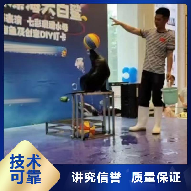 海洋主題動(dòng)物表演吉祥百鳥(niǎo)展專(zhuān)業(yè)