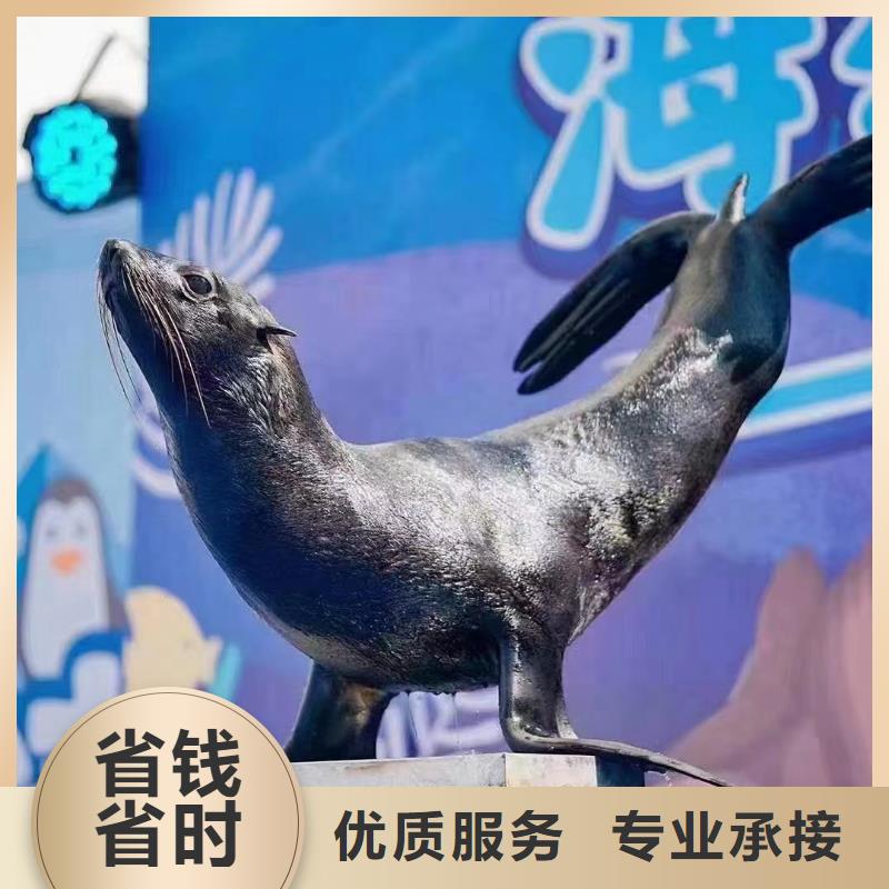 海洋主题动物表演出租表演羊驼信誉保证