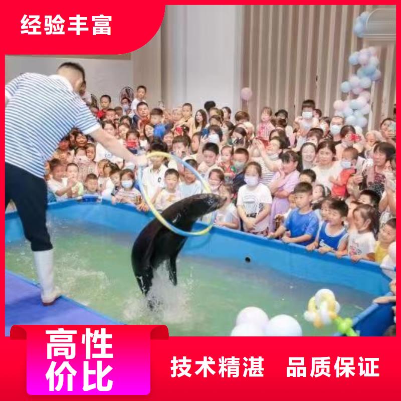 海洋主题动物表演 马戏团出租 2025公司