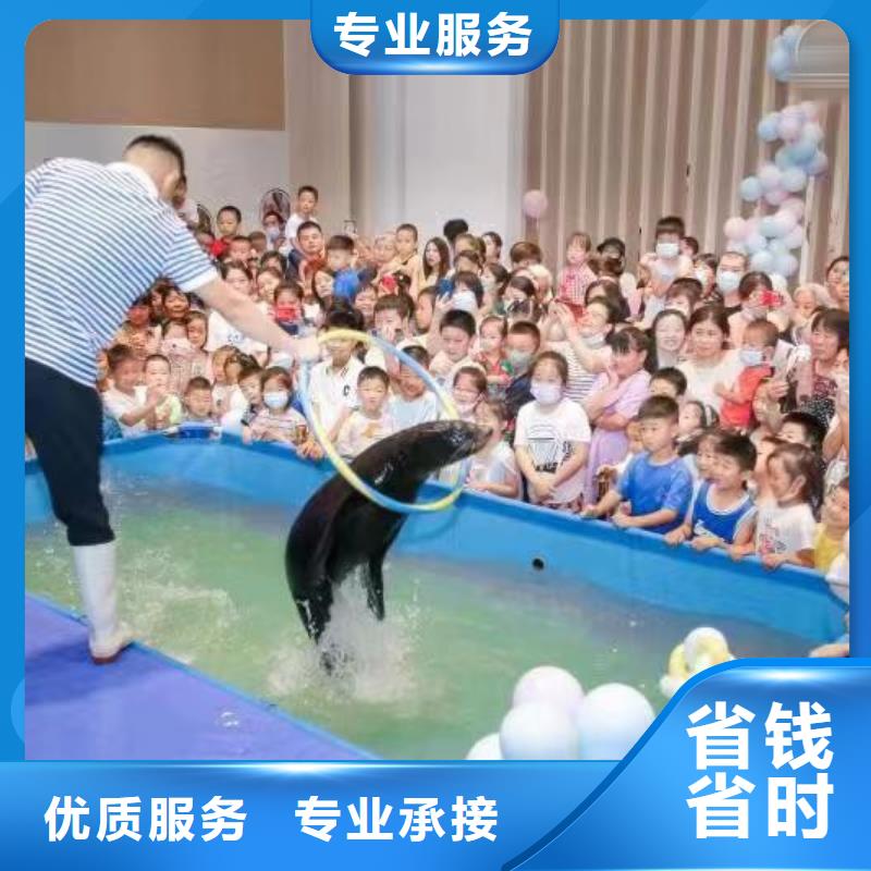 海洋主题动物表演-动物杂技表演租赁专业可靠