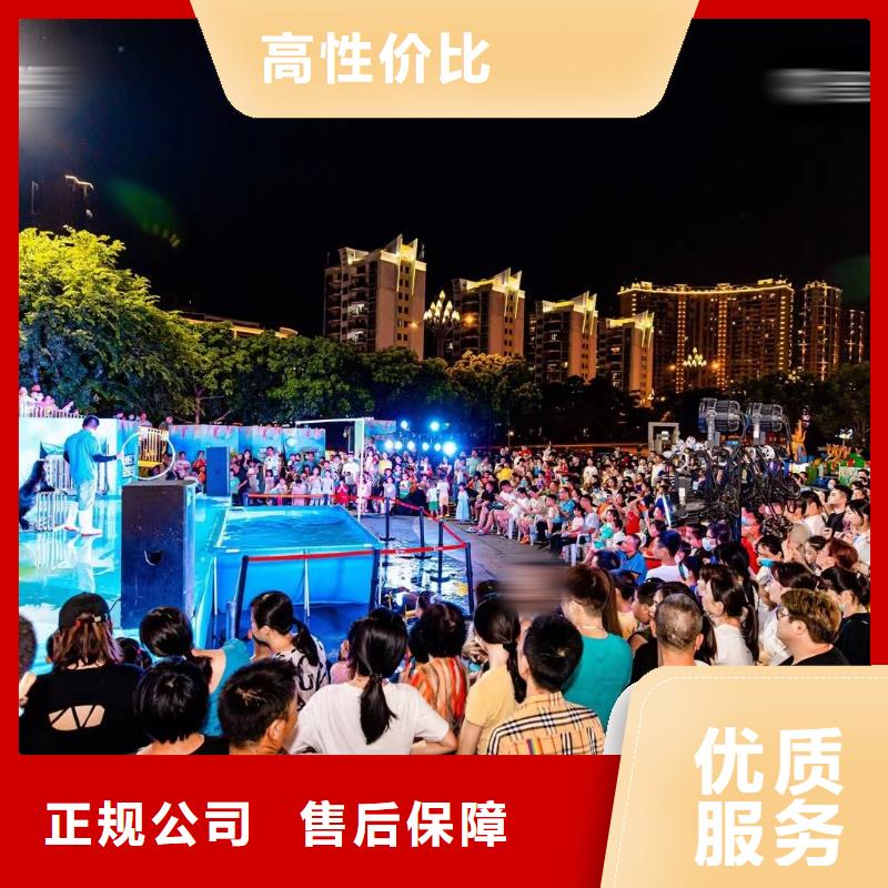 海洋主題動物表演海獅表演出租公司