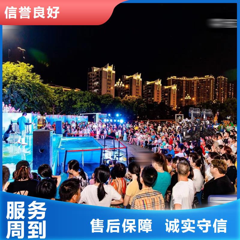 海洋主題動物表演出租馬戲團表演高性價比