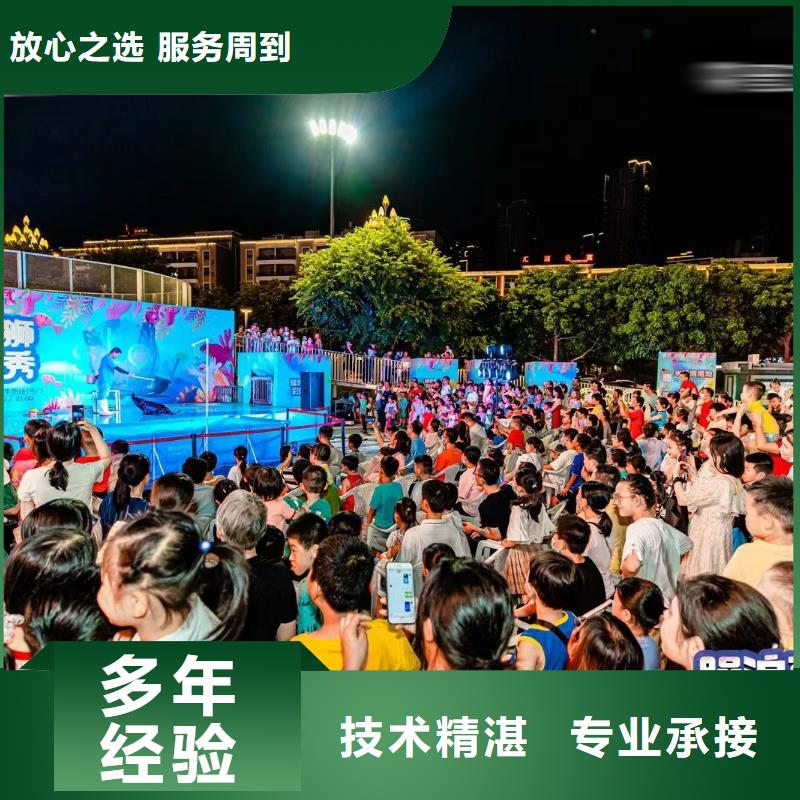 海洋主题动物表演出租海狮表演诚信