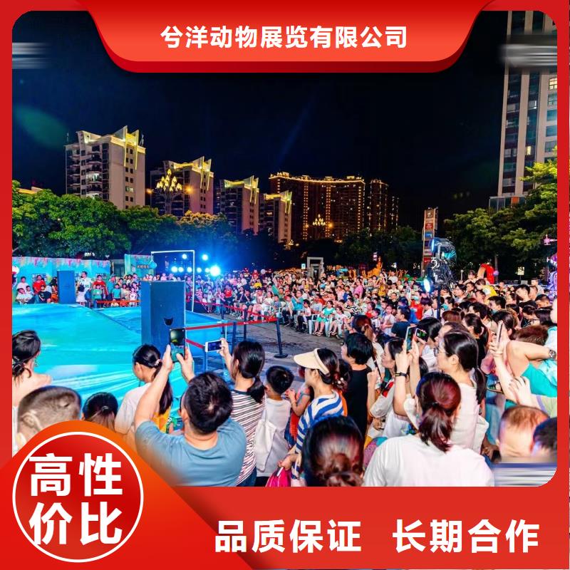 海洋主題動物表演雜技表演遵守合同
