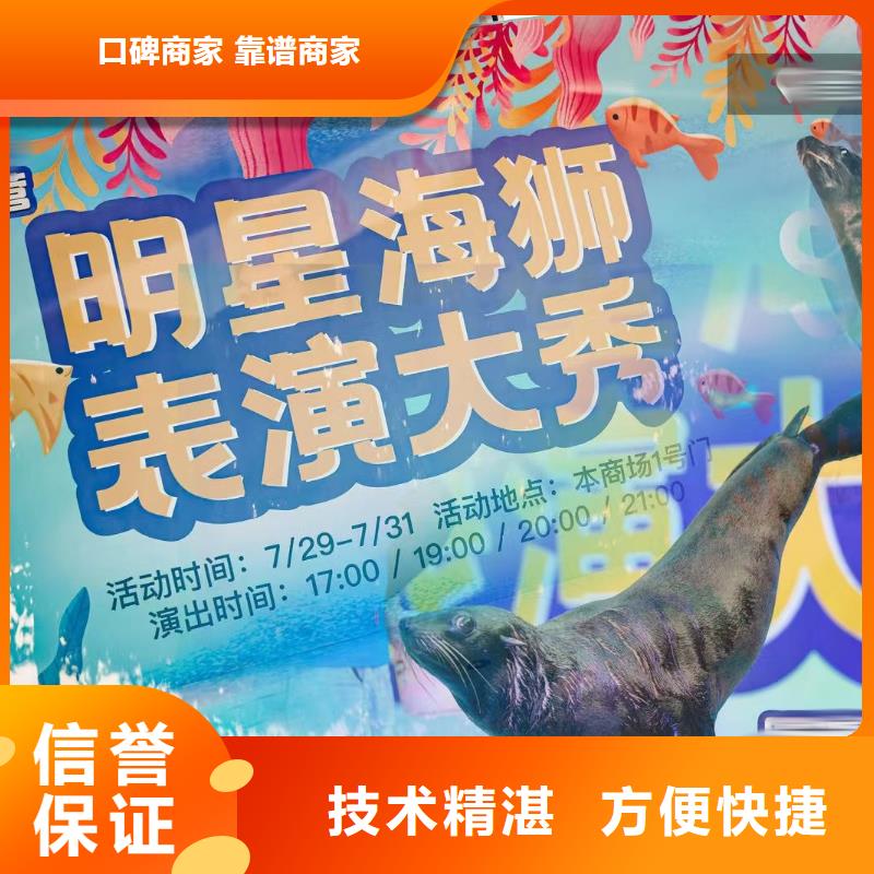 海洋主題動物表演【【企鵝演出】】精英團隊
