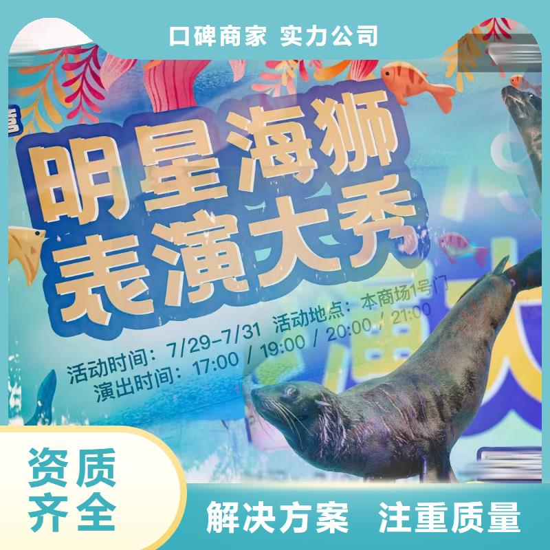 海洋主题动物表演 动物表演靠谱商家