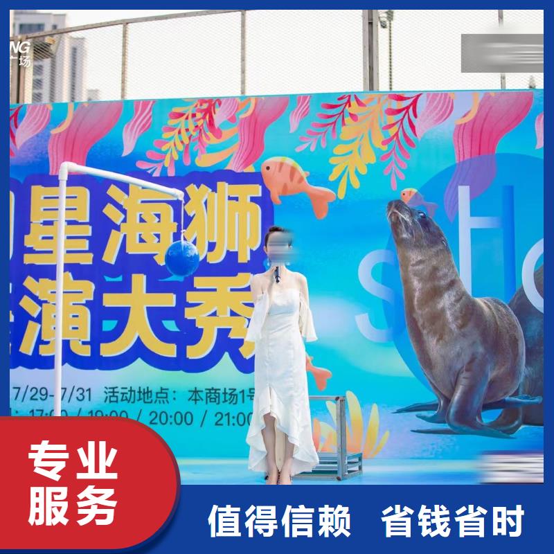 海洋主題動(dòng)物表演-萌寵動(dòng)物展出租技術(shù)比較好
