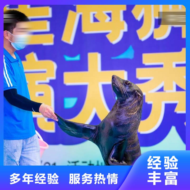 海洋主題動(dòng)物表演【企鵝演出】誠信放心