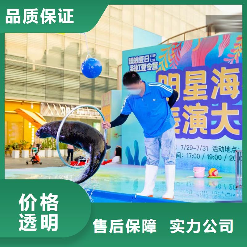 海洋主題動物表演-【出租表演企鵝】多家服務(wù)案例