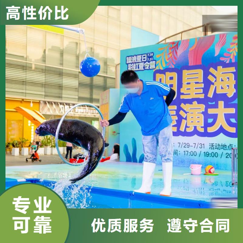 【海洋主題動(dòng)物表演出租馬戲表演服務(wù)周到】