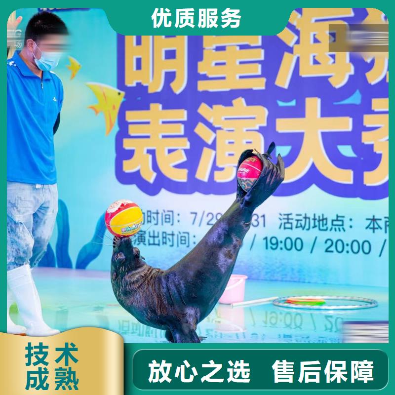 海洋主题动物表演,美人鱼表演出租品质卓越