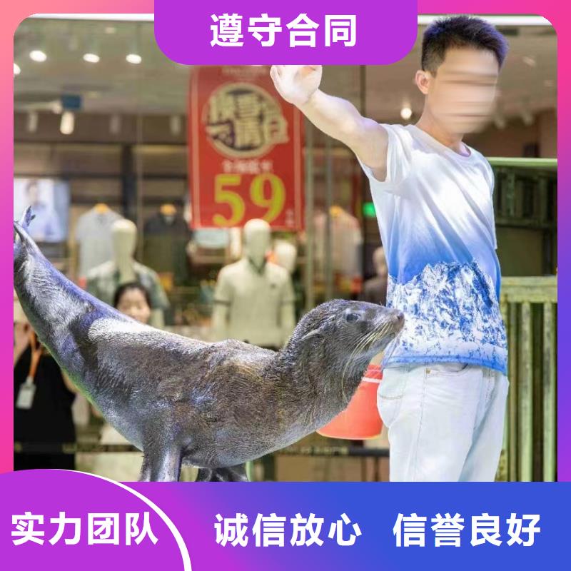 海洋主題動(dòng)物表演【【出租海獅表演】】免費(fèi)咨詢