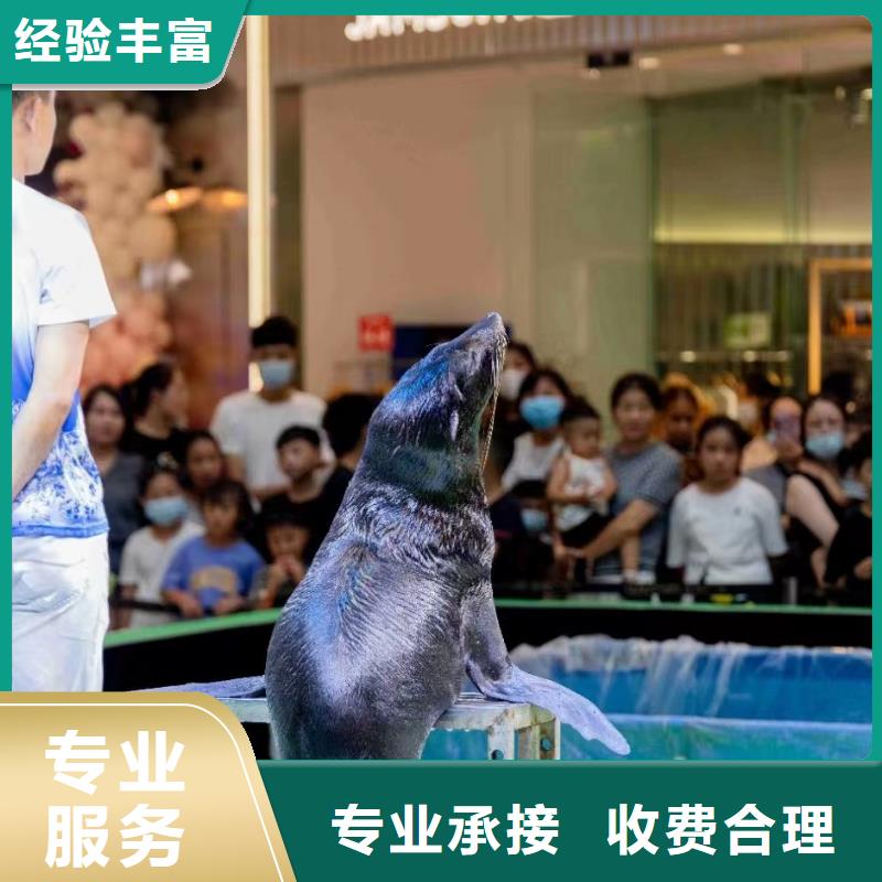 海洋主題動物表演 鸚鵡表演歡迎詢價