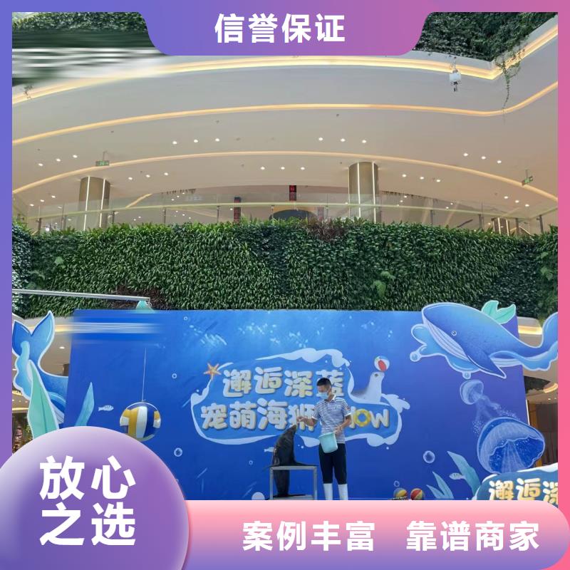 海洋主題動物表演海獅表演租賃實力公司