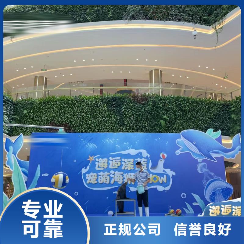 海洋主题动物表演羊驼表演快捷