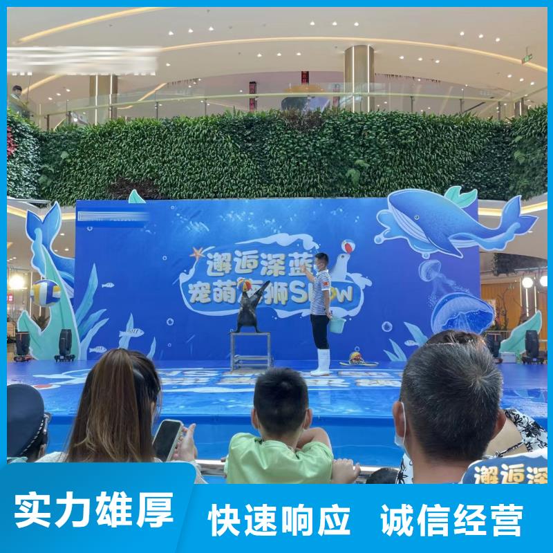 海洋主题动物表演表演羊驼租赁技术好