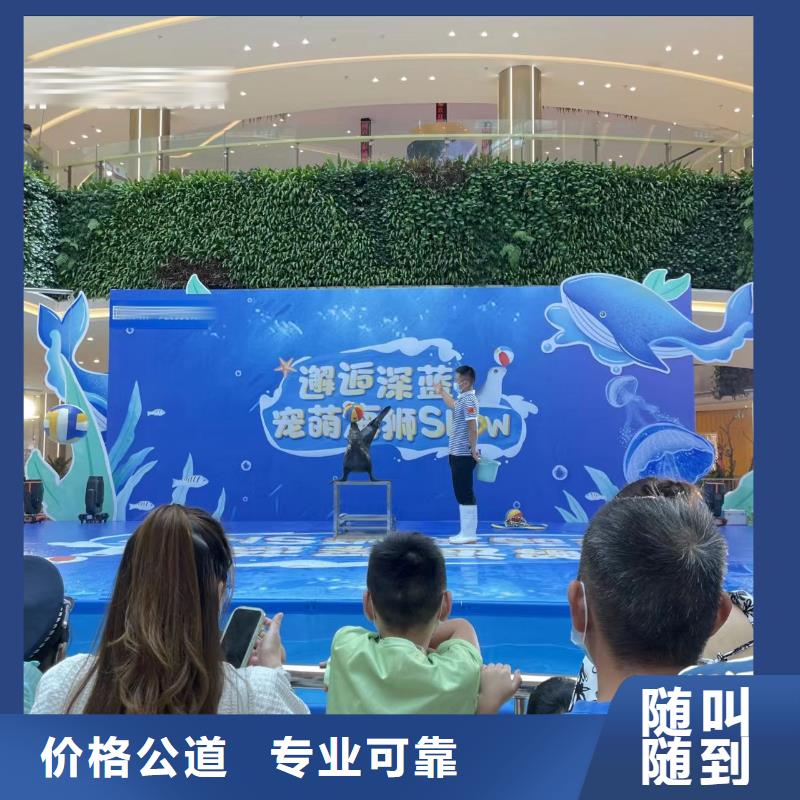 【海洋主題動(dòng)物表演】,商場(chǎng)馬戲表演出租2025專業(yè)的團(tuán)隊(duì)