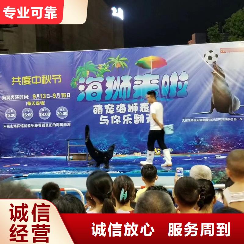 海洋主題動(dòng)物表演 馴獸表演遵守合同