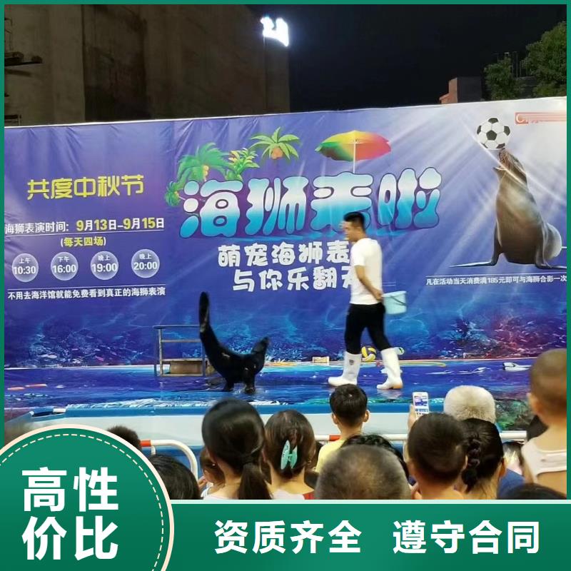 海洋主题动物表演出租表演鹦鹉从业经验丰富
