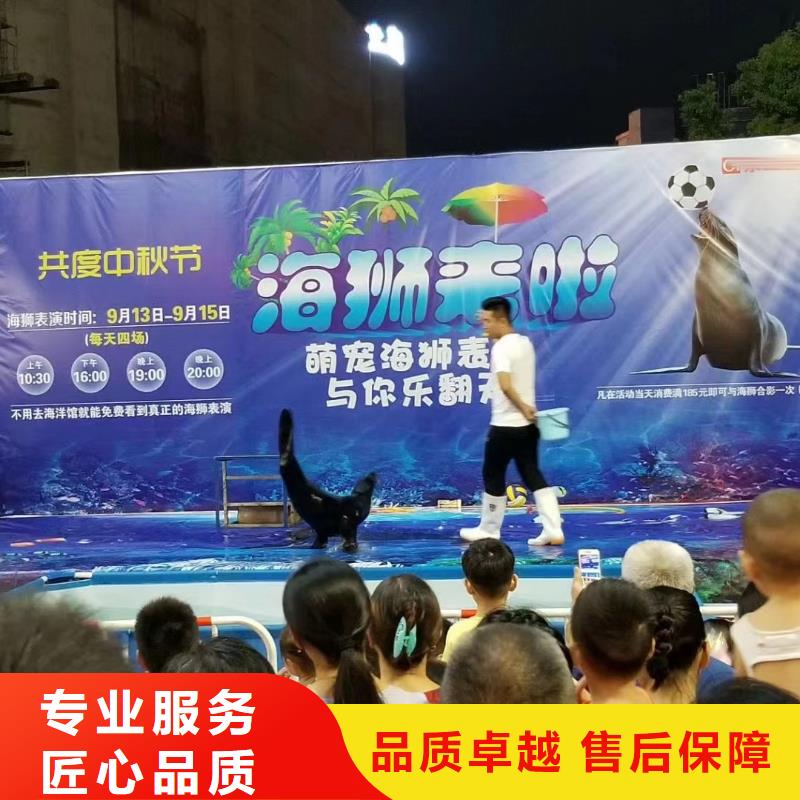 海洋主题动物表演_出租表演鹦鹉实力强有保证