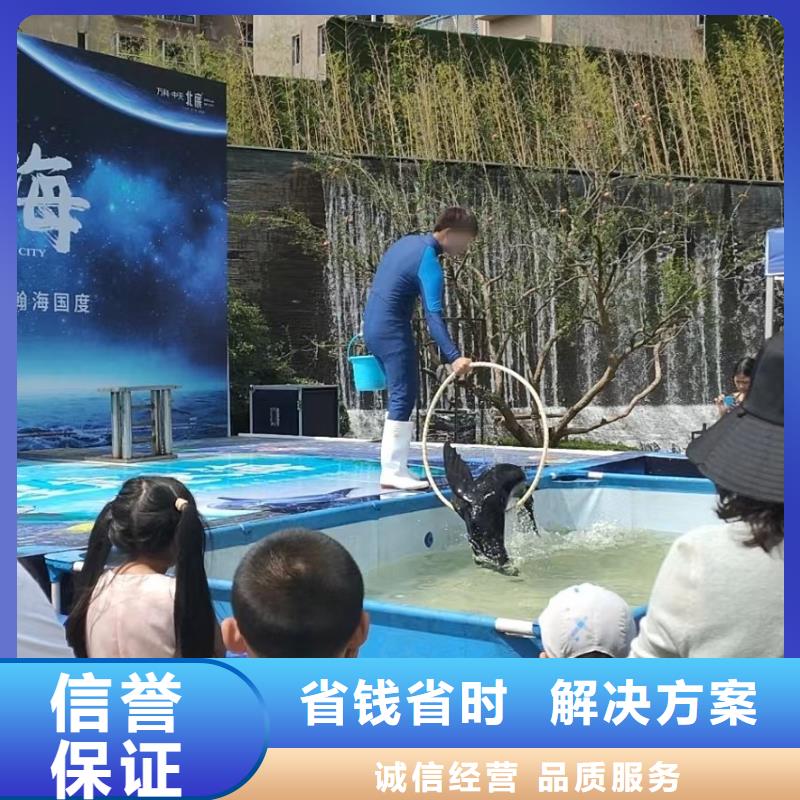 海洋主题动物表演羊驼出租放心之选