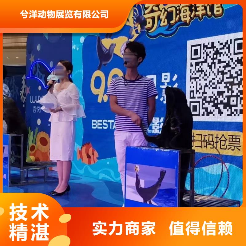海洋主題動物表演房地產開盤慶典拒絕虛高價