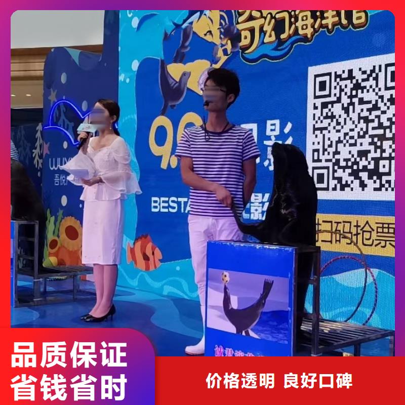 海洋主题动物表演出租表演萌宠解决方案