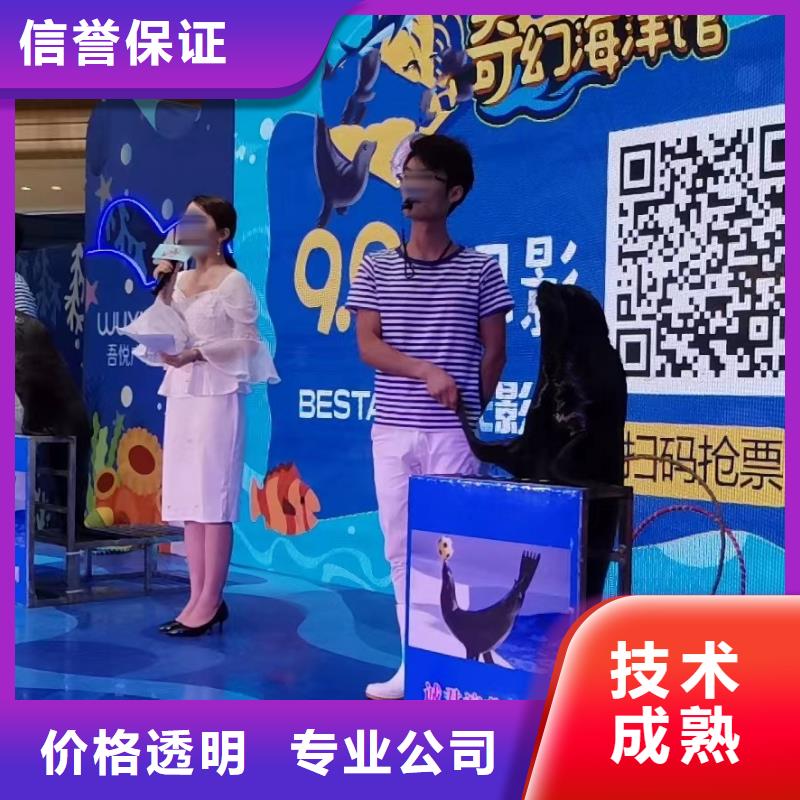 海洋主題動(dòng)物表演美人魚表演優(yōu)質(zhì)服務(wù)
