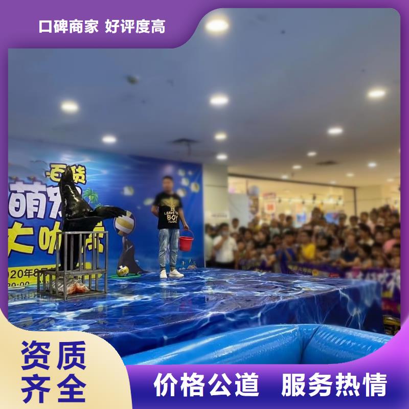 海洋主題動物表演【企鵝演出】團隊