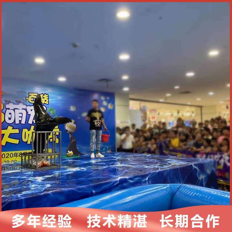 海洋主題動物表演_企鵝出租表演價格美麗