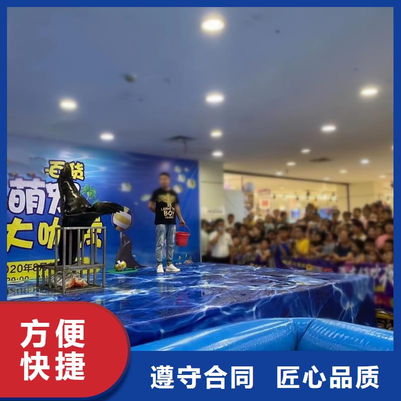 海洋主題動物表演草泥馬羊駝租賃好評度高