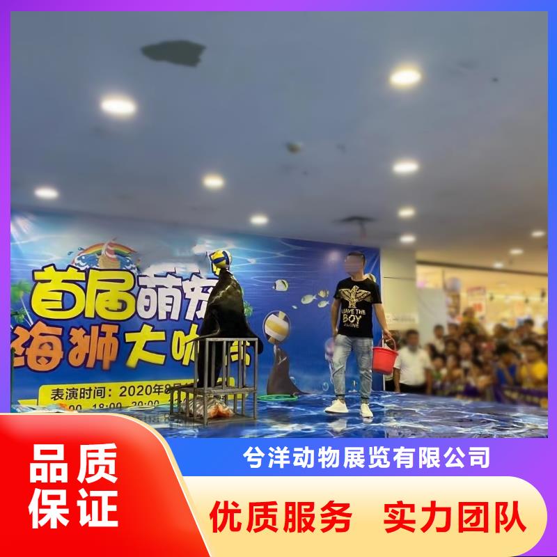【海洋主题动物表演】海洋展租赁实力强有保证